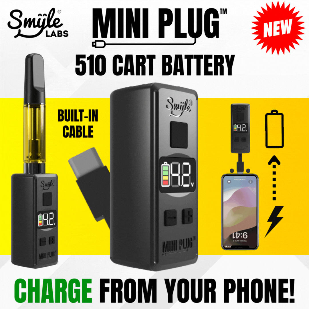 iPhoneから充電可能 Penjamin miniplug